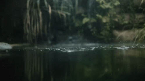 Dark Dark Grunge GIF. This 498 x 278 animated GIF is part of our grunge aesthetic collection. Related themes include aesthetic. Created by peachiiiiiii…