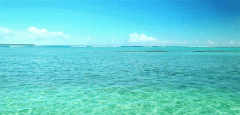 Dasq GIF