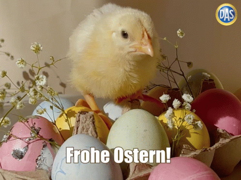 Dasrechtsschutz Dasrechtsschutzversicherung GIF