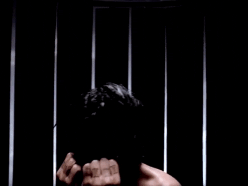 Dave Navarro Red Hot Chili Peppers GIF