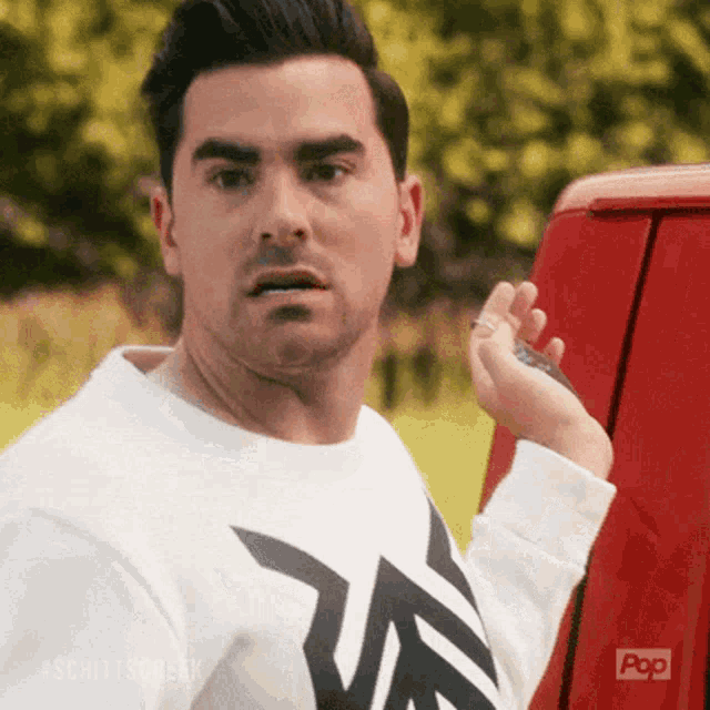 David Rose GIF