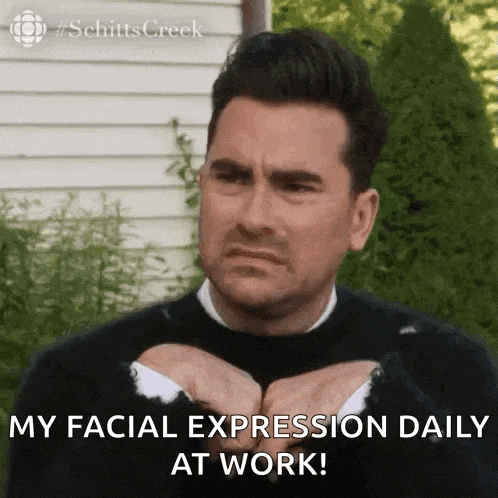 David Rose GIF