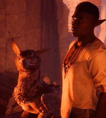 Davrin Davrin Dragon Age GIF