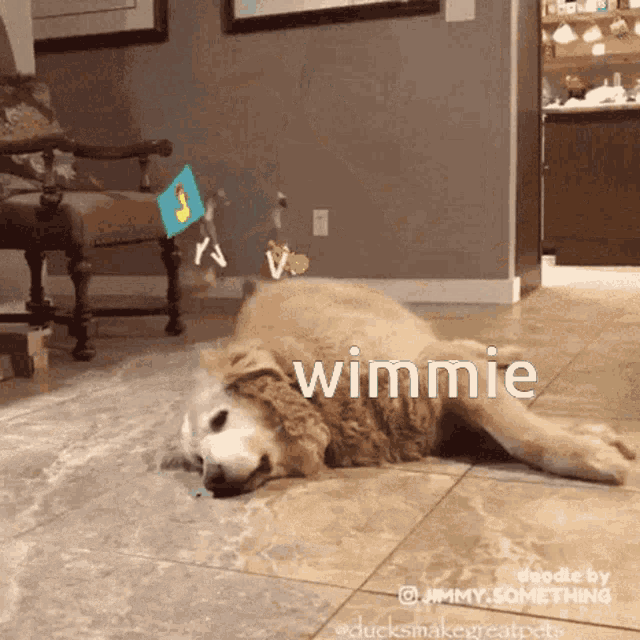 Dawattes GIF