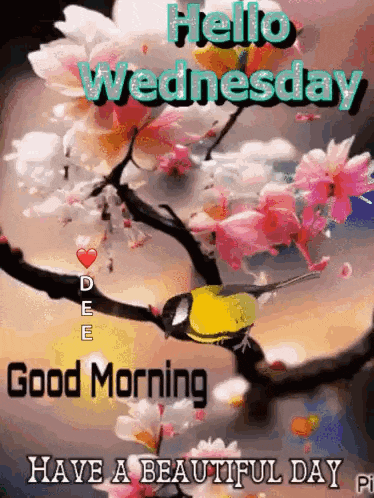 Day Nice GIF