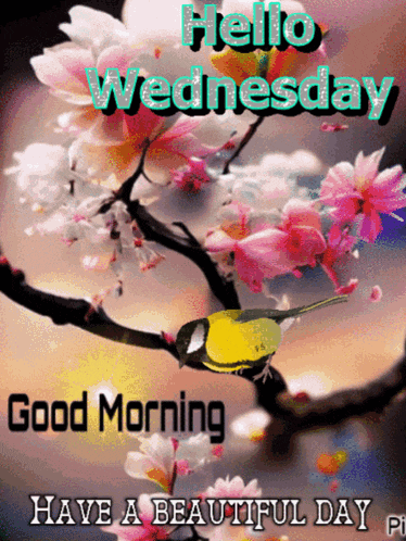 Day Nice GIF