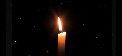 Day Of The Dead Candle GIF