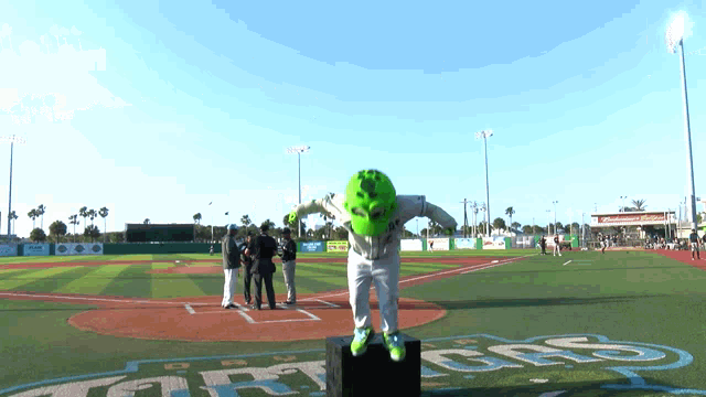 Daytona Tortugas Baseball GIF