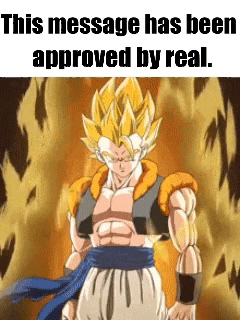 Db Shenanigans Server GIF
