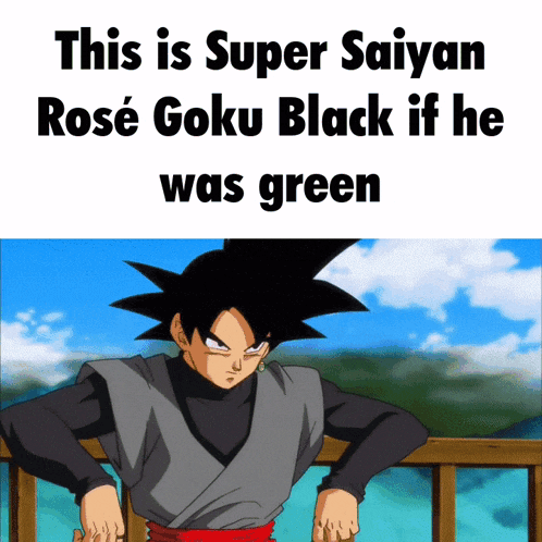 Dbs Goku Black GIF