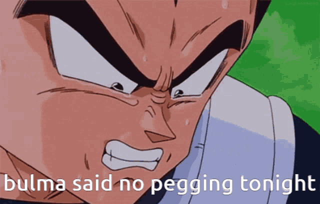 Dbzsex GIF