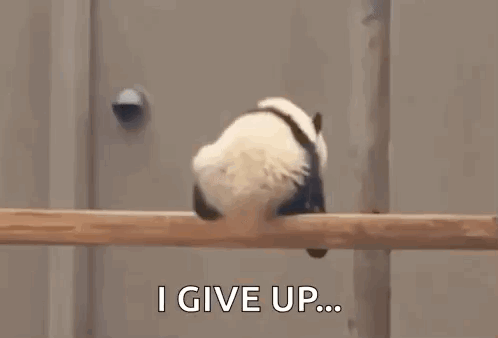 Dead Panda Panda Dead GIF
