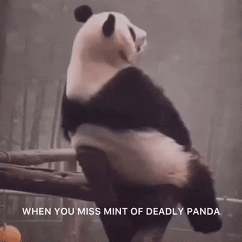 Deadlypanda Cnft GIF