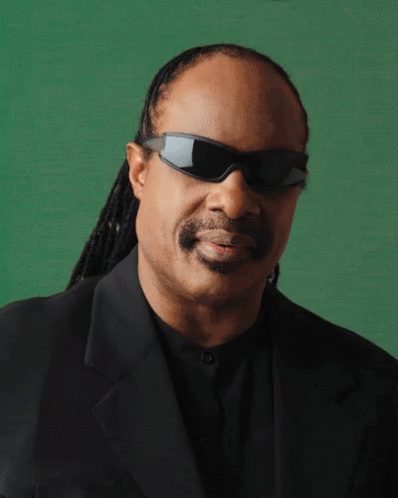 Deal With It Stevie Wonder GIF