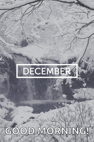 December Happy December GIF