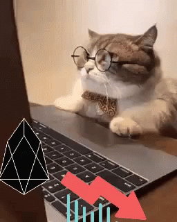 Decentralised Cat GIF. This 256 x 320 animated GIF is part of our contabilidad collection. Related themes include angry, cat, crypto. Created by lomitza…