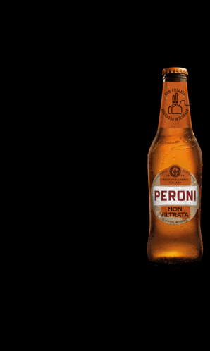 Decisamente Peroni Peroni Non Filtrata GIF