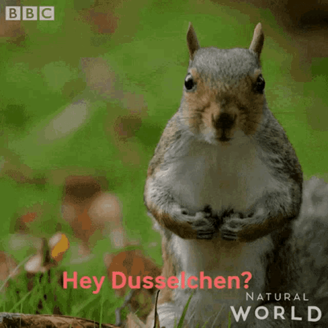 Dedehydrate7 GIF