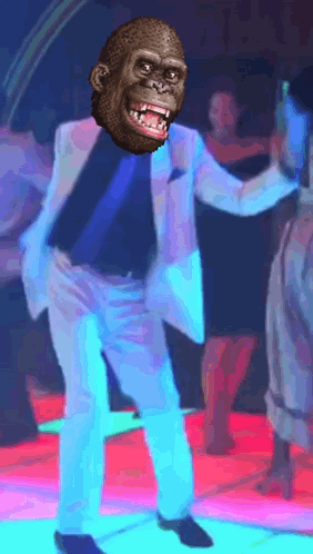 Deedify Deedy GIF