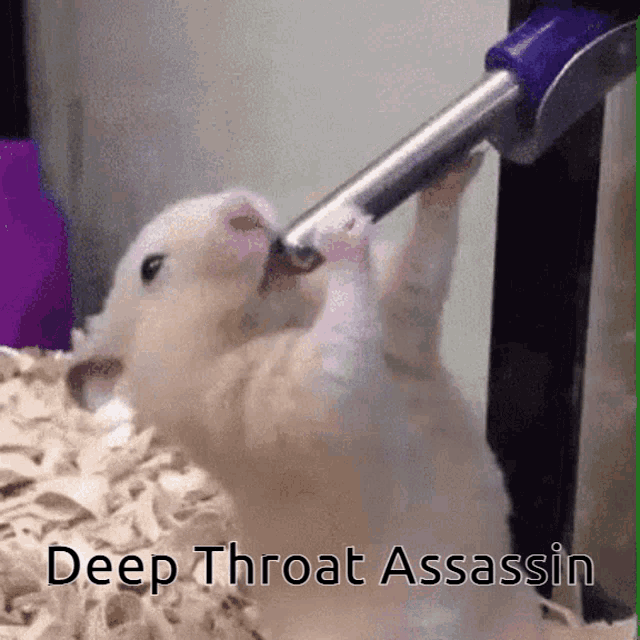 Deep Throat Oral GIF