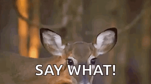 Deer GIF