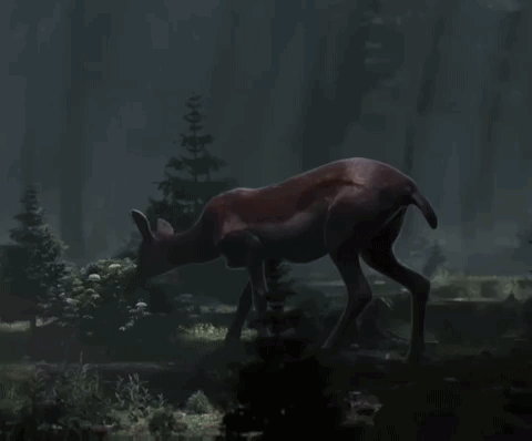 Deer Deer In Headlights GIF