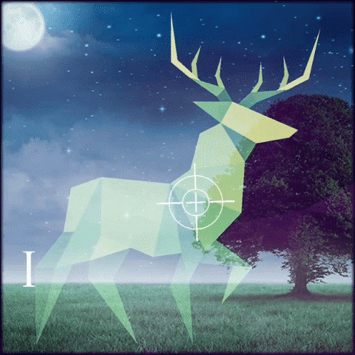 Deer Hunting GIF