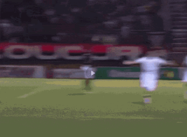 Defederico Corinthians GIF