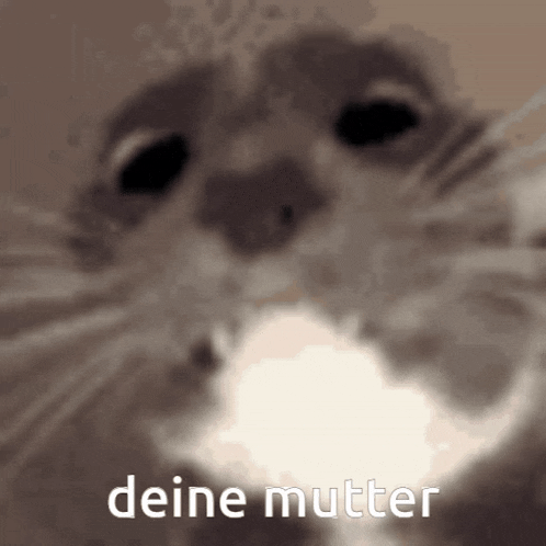 Deine Mutter Katze GIF