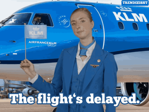Delayed Flight GIF