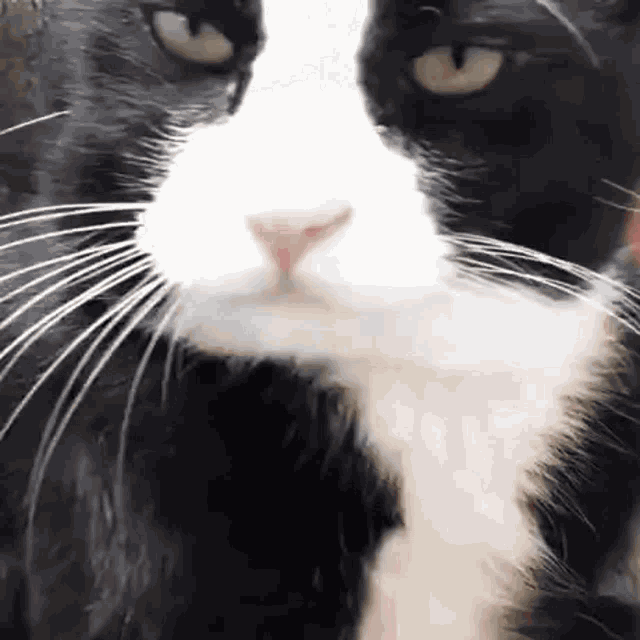 Delicious Horny GIF
