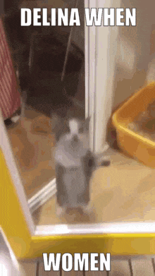 Delina Women GIF