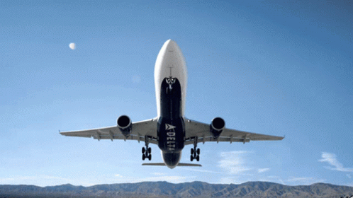 Delta Plane GIF