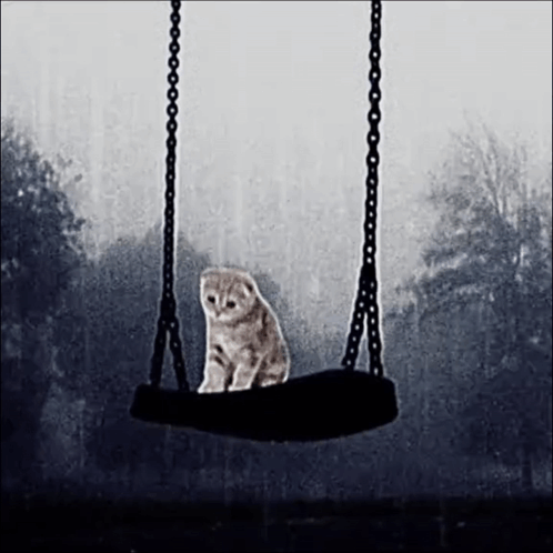 Depression Sad GIF