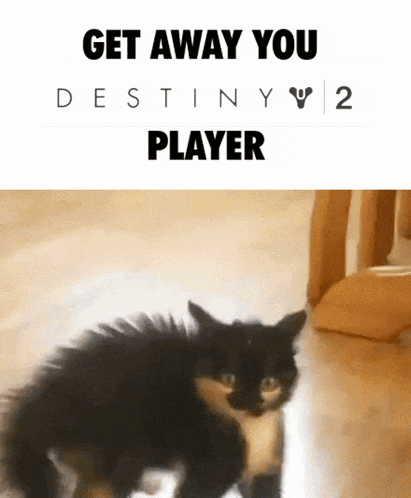 Destiny 2 D2 GIF