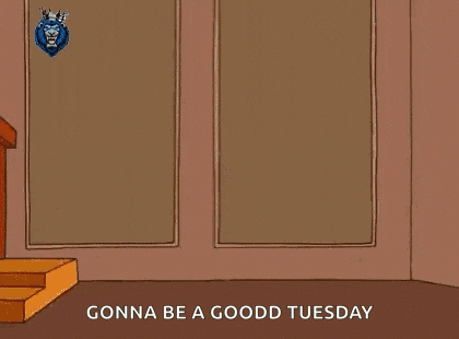 Detroit Lions GIF