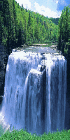 Devwater90 GIF