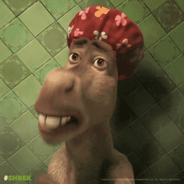 Dhulbahante Faras GIF