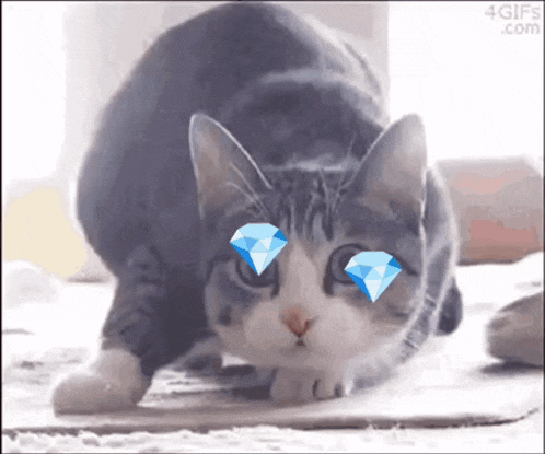 Diamond Hand Diamond Paw GIF
