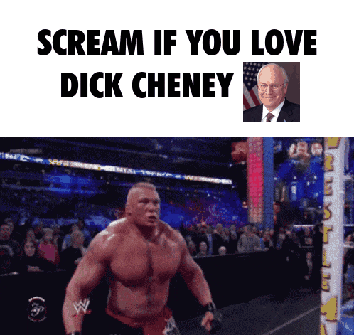 Dick Cheney Vice President GIF