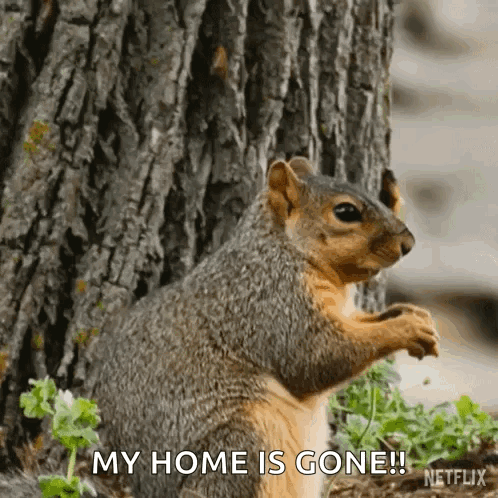 Did You Call Me Our Living World GIF