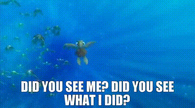 Did You See Me Did You See What I Did GIF