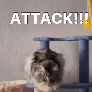 Diekatzlei Die Katzlei GIF