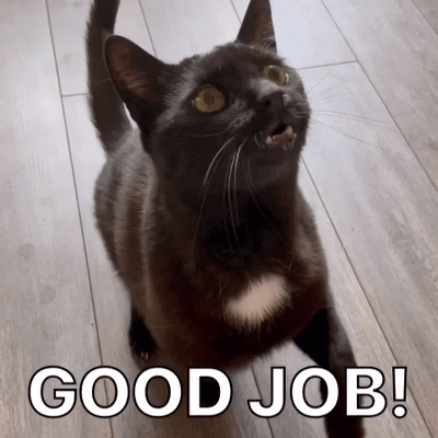 Diekatzlei Die Katzlei GIF. This 400 x 400 animated GIF is part of our lady and the tramp siamese cats collection. Related themes include cat, fantastic…