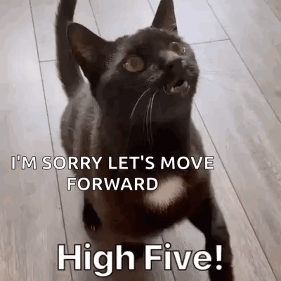 Diekatzlei Die Katzlei GIF. This 400 x 400 animated GIF is part of our lady and the tramp siamese cats collection. Related themes include cat, fantastic…