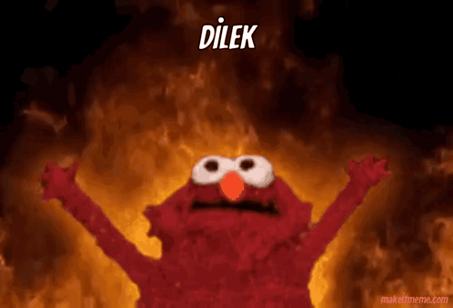 Dilek GIF