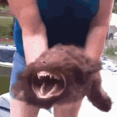 Dillom Rage Dog GIF