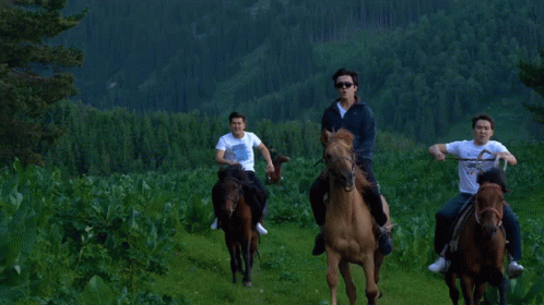 Dimash Dimash Horse GIF
