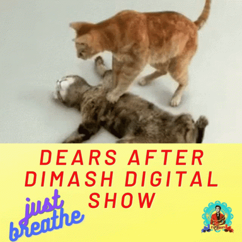 Dimashdigitalshow Dimashonlineconcert GIF
