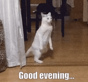Dinner Good Evening GIF